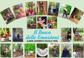  - IL BOSCO DELLE EMOZIONI 