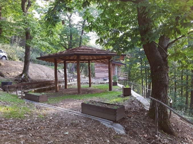 PROGETTO: GIOVANI NEL LABIRINTO DELLA VITA - AIUTIAMOLI A TROVARE LA LORO STRADA - IL BOSCO DELLE EMOZIONI 